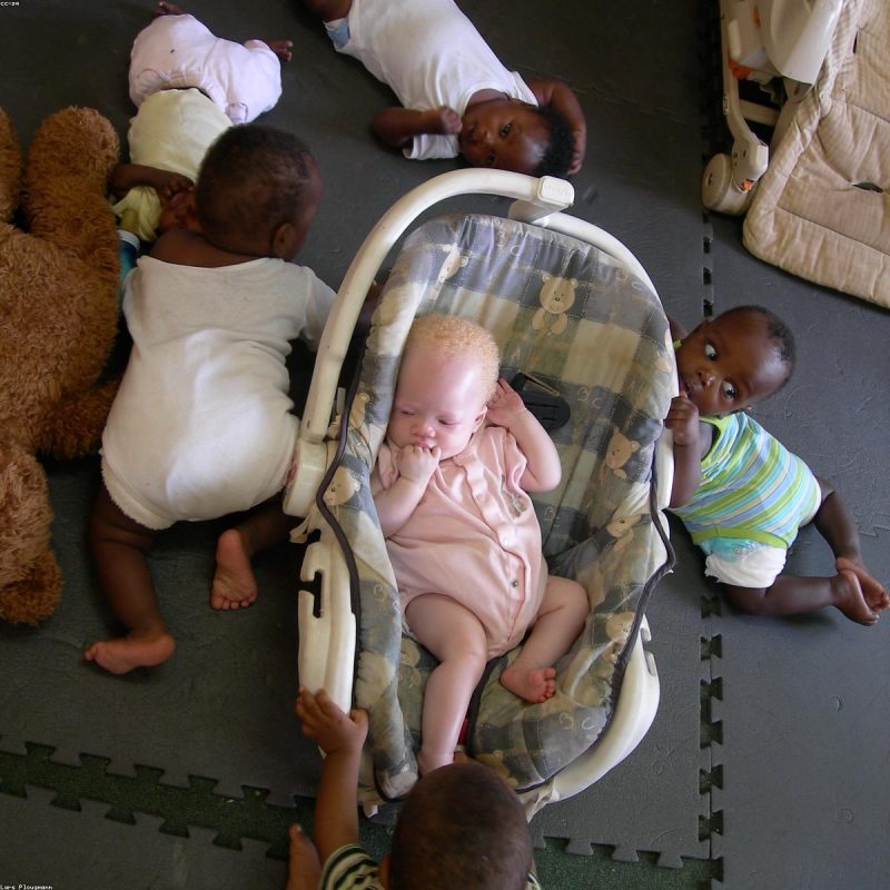 Cloudling Trail Wooden Crib Limited Edition Series 0019