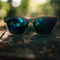 Coastline Cat-Eye Polarised Sunglasses № 0041